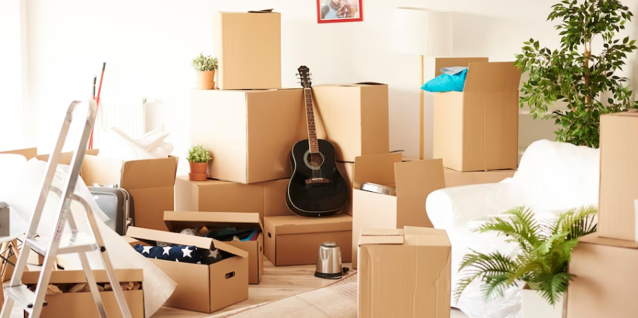 room full of cardboard boxes